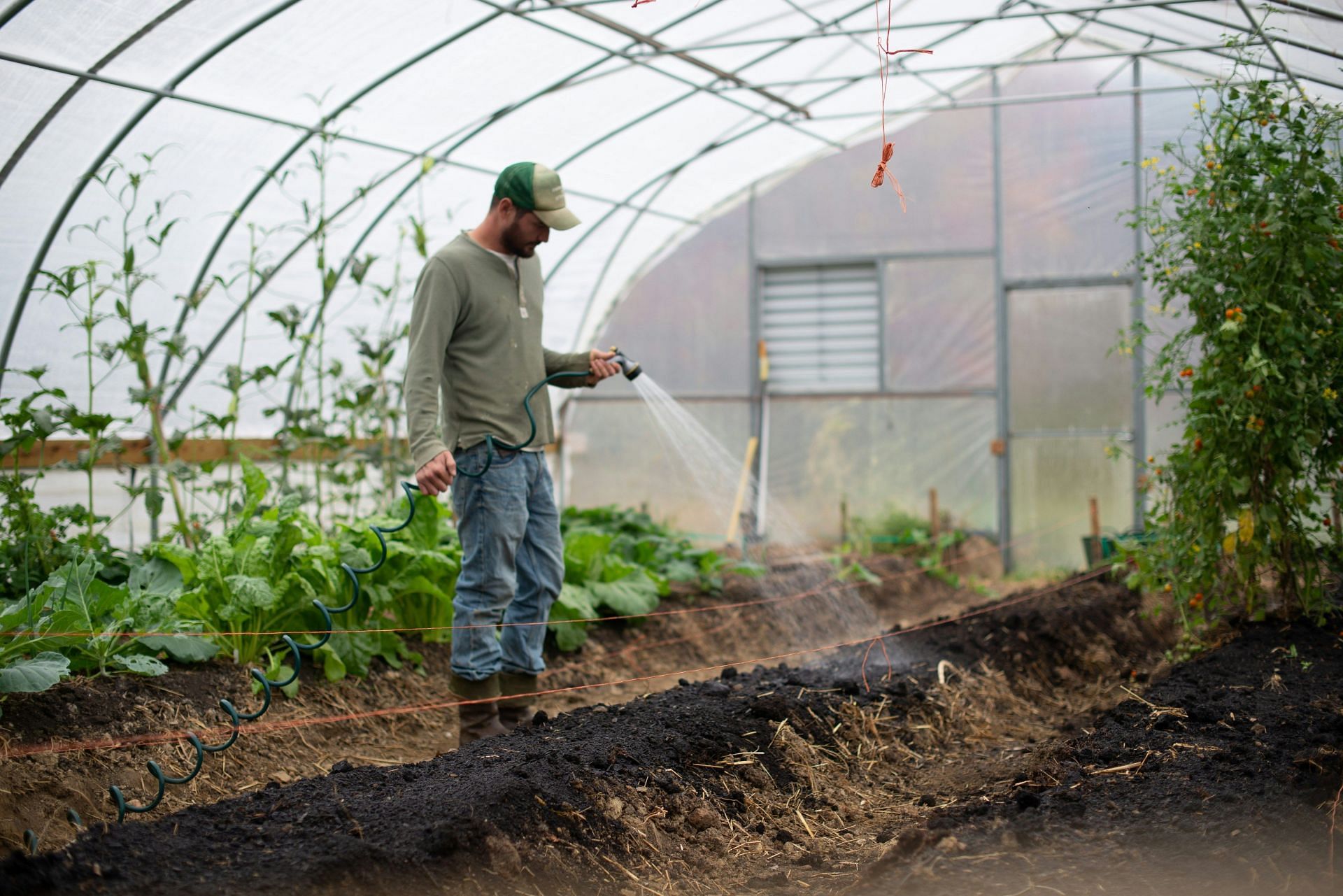 Non-organic foods have chemicals and fertilizers (Image by Zoe Schaeffer/Unsplash)